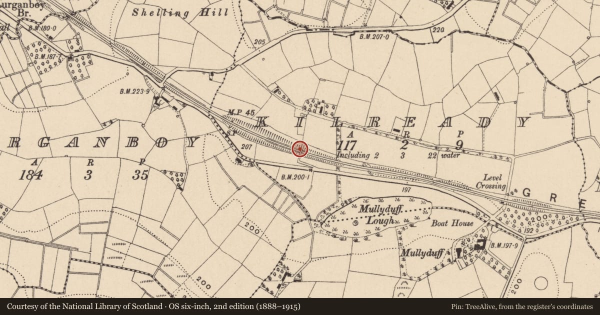 Ordnance Survey six-inch map, 2nd edition (1888–1915) covering the location of Bridge, Kilready, Newtownbutler, Co Fermanagh, BT92 6EZ, Fermanagh and Omagh, with a pin at the register's coordinates
