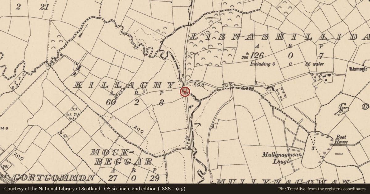 Ordnance Survey six-inch map, 2nd edition (1888–1915) covering the location of Bridge, Killaghy/Lisnashillida, Fermanagh and Omagh, with a pin at the register's coordinates