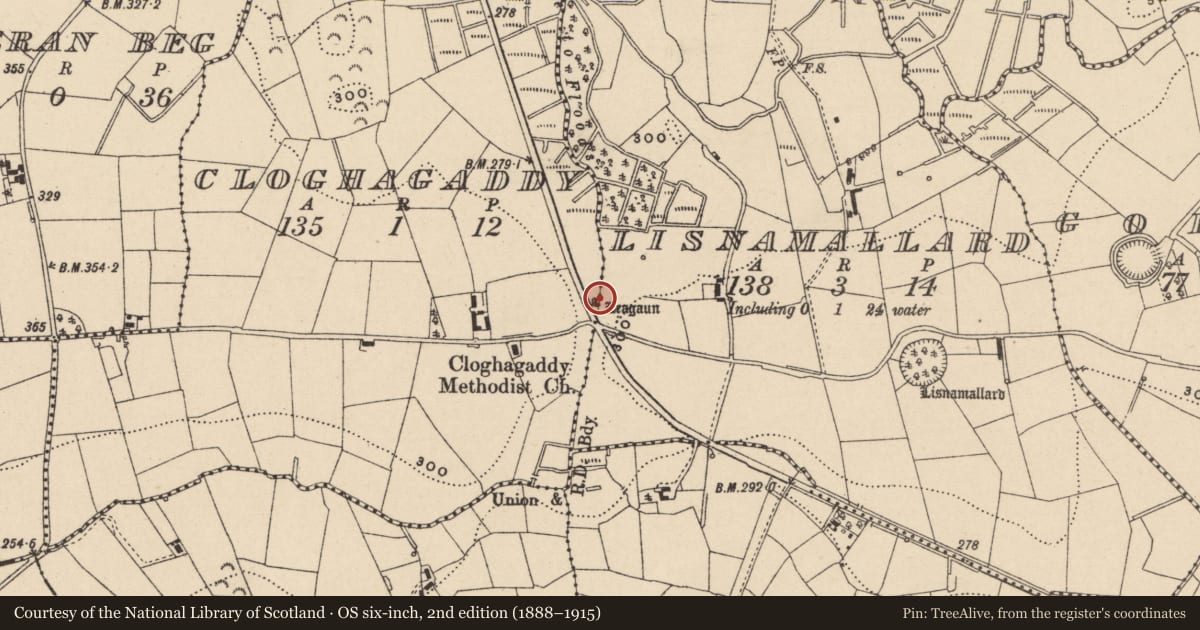 Ordnance Survey six-inch map, 2nd edition (1888–1915) covering the location of Leagaun Standing Stone, Cloghagaddy, Fermanagh and Omagh, with a pin at the register's coordinates