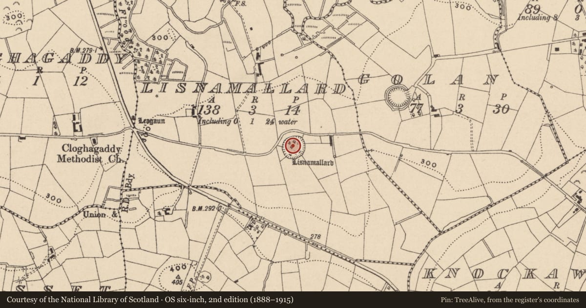 Ordnance Survey six-inch map, 2nd edition (1888–1915) covering the location of Lisnamallard Fort, Fermanagh and Omagh, with a pin at the register's coordinates