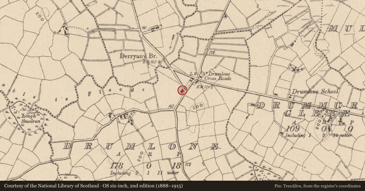Ordnance Survey six-inch map, 2nd edition (1888–1915) covering the location of Cottage, Drumlone, Fermanagh and Omagh, with a pin at the register's coordinates
