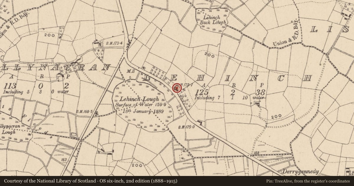 Ordnance Survey six-inch map, 2nd edition (1888–1915) covering the location of Cottage, Lehinch, Fermanagh and Omagh, with a pin at the register's coordinates