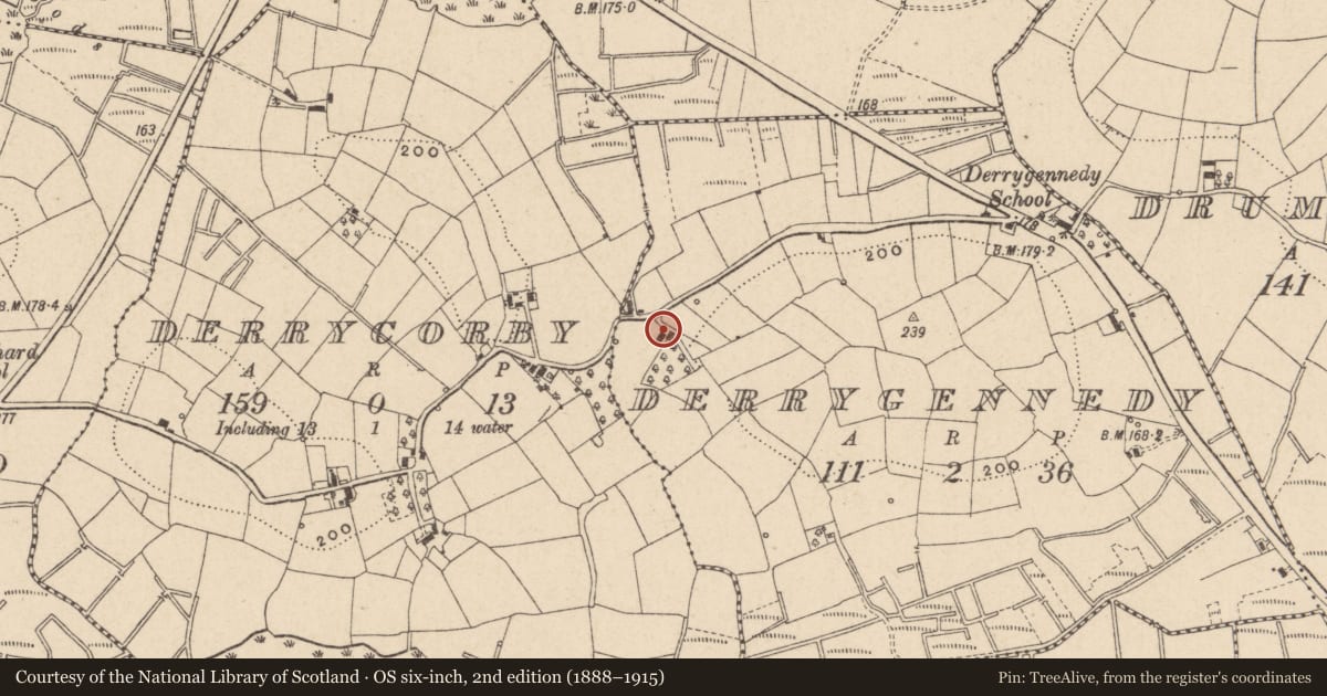 Ordnance Survey six-inch map, 2nd edition (1888–1915) covering the location of 10 Killard Road, Derrygennedy, Fermanagh and Omagh, with a pin at the register's coordinates