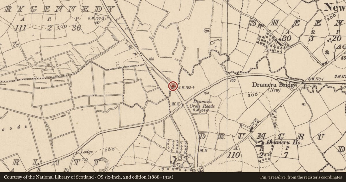 Ordnance Survey six-inch map, 2nd edition (1888–1915) covering the location of Bridge, Drumcru/Drumgoland, Fermanagh and Omagh, with a pin at the register's coordinates
