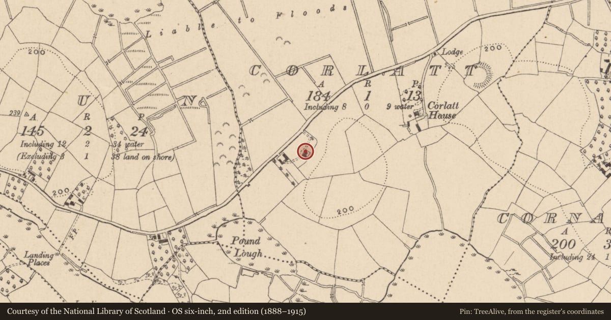 Ordnance Survey six-inch map, 2nd edition (1888–1915) covering the location of House, Corlatt, Fermanagh and Omagh, with a pin at the register's coordinates
