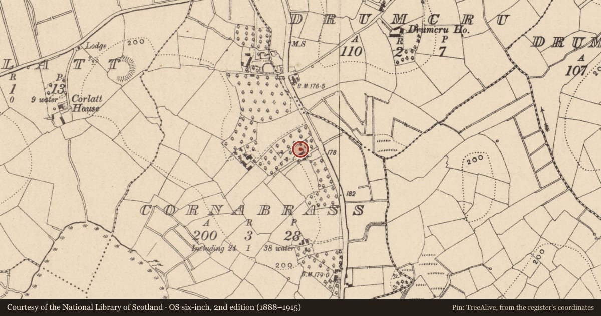 Ordnance Survey six-inch map, 2nd edition (1888–1915) covering the location of House, Cornabrass, Fermanagh and Omagh, with a pin at the register's coordinates