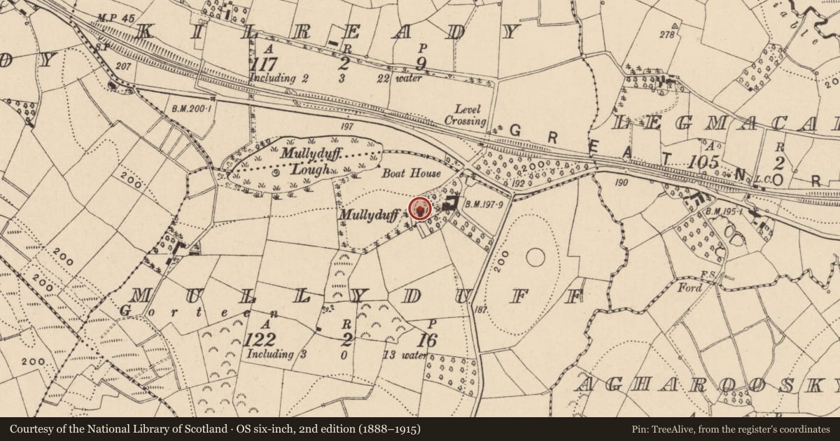Ordnance Survey six-inch map, 2nd edition (1888–1915) covering the location of House, Mullyduff, Fermanagh and Omagh, with a pin at the register's coordinates