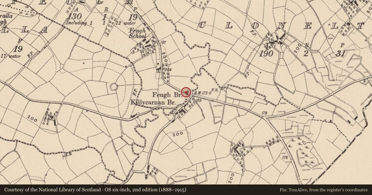Ordnance Survey six-inch map, 2nd edition (1888–1915) covering the location of Bridge, Leitrim, Fermanagh and Omagh, with a pin at the register's coordinates