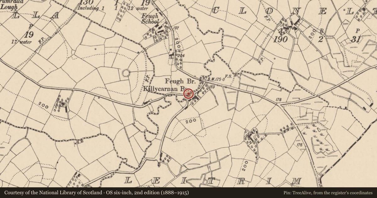 Ordnance Survey six-inch map, 2nd edition (1888–1915) covering the location of Bridge, Leitrim, Fermanagh and Omagh, with a pin at the register's coordinates