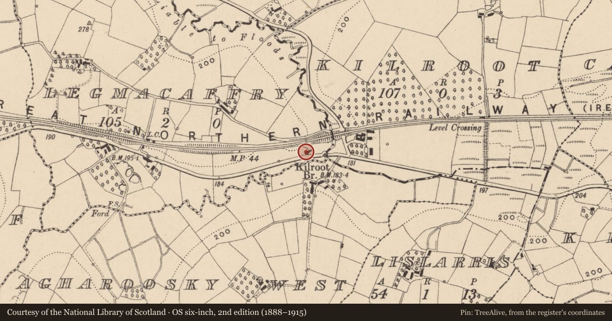 Ordnance Survey six-inch map, 2nd edition (1888–1915) covering the location of Cottage, Legmacaffry, Fermanagh and Omagh, with a pin at the register's coordinates