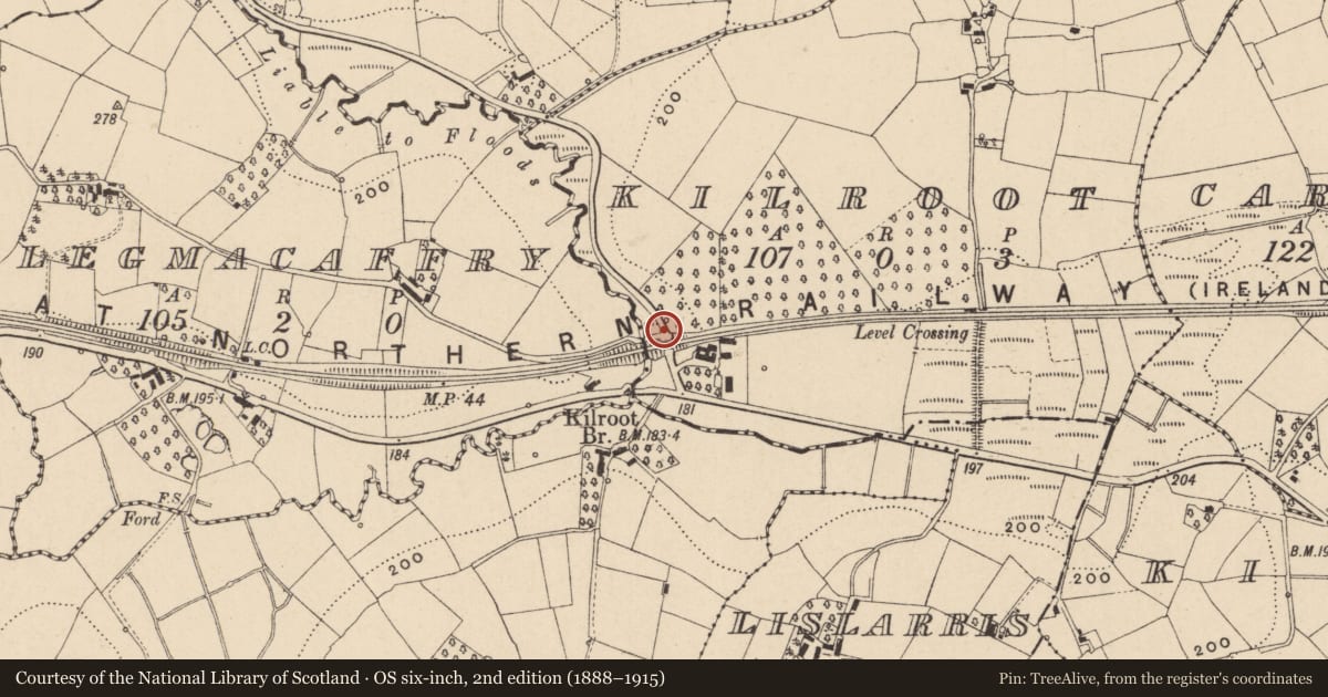 Ordnance Survey six-inch map, 2nd edition (1888–1915) covering the location of Railway Bridge, Kilroot, Fermanagh and Omagh, with a pin at the register's coordinates