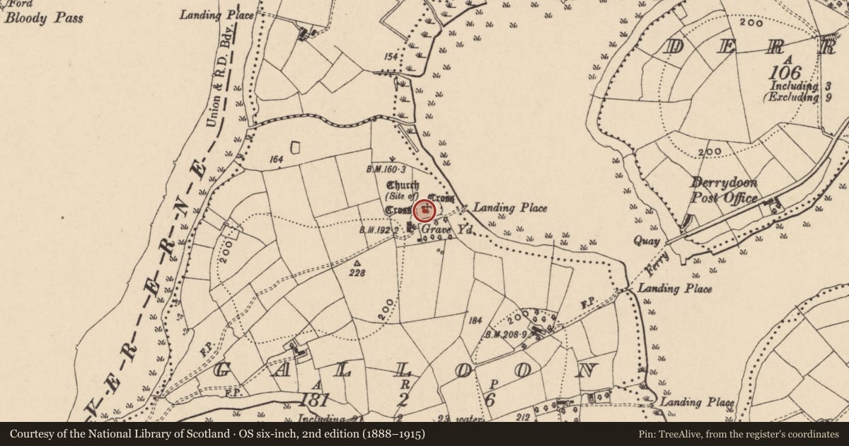 Ordnance Survey six-inch map, 2nd edition (1888–1915) covering the location of Graveyard and Stone Crosses, Galloon, Fermanagh and Omagh, with a pin at the register's coordinates