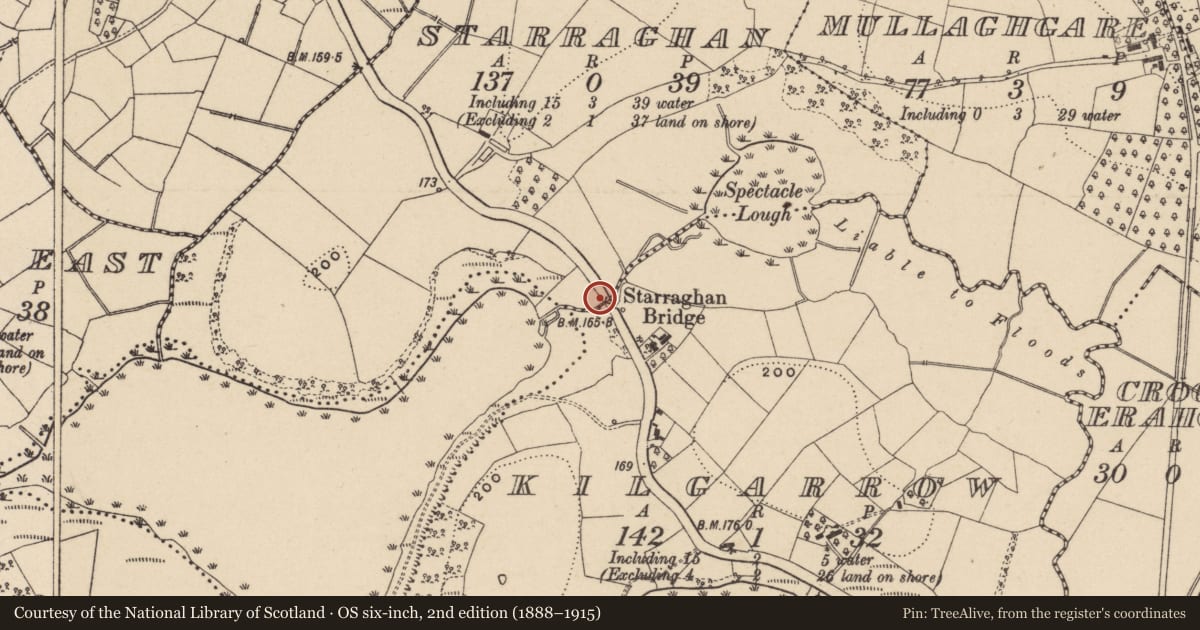 Ordnance Survey six-inch map, 2nd edition (1888–1915) covering the location of Starraghan Bridge, Fermanagh and Omagh, with a pin at the register's coordinates