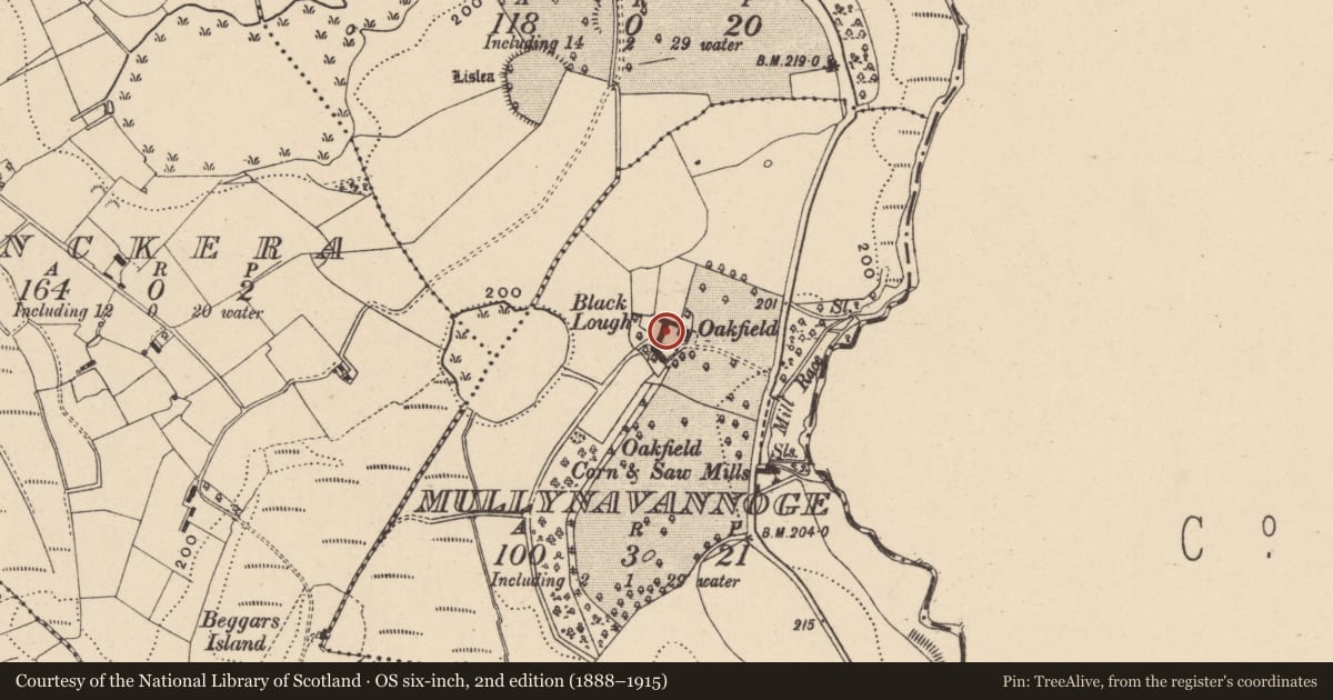 Ordnance Survey six-inch map, 2nd edition (1888–1915) covering the location of Oakfield, Mullyvannoge, Fermanagh and Omagh, with a pin at the register's coordinates
