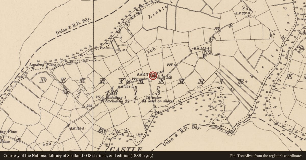 Ordnance Survey six-inch map, 2nd edition (1888–1915) covering the location of Donaghue's Cottage, Derrykerrib, Fermanagh and Omagh, with a pin at the register's coordinates