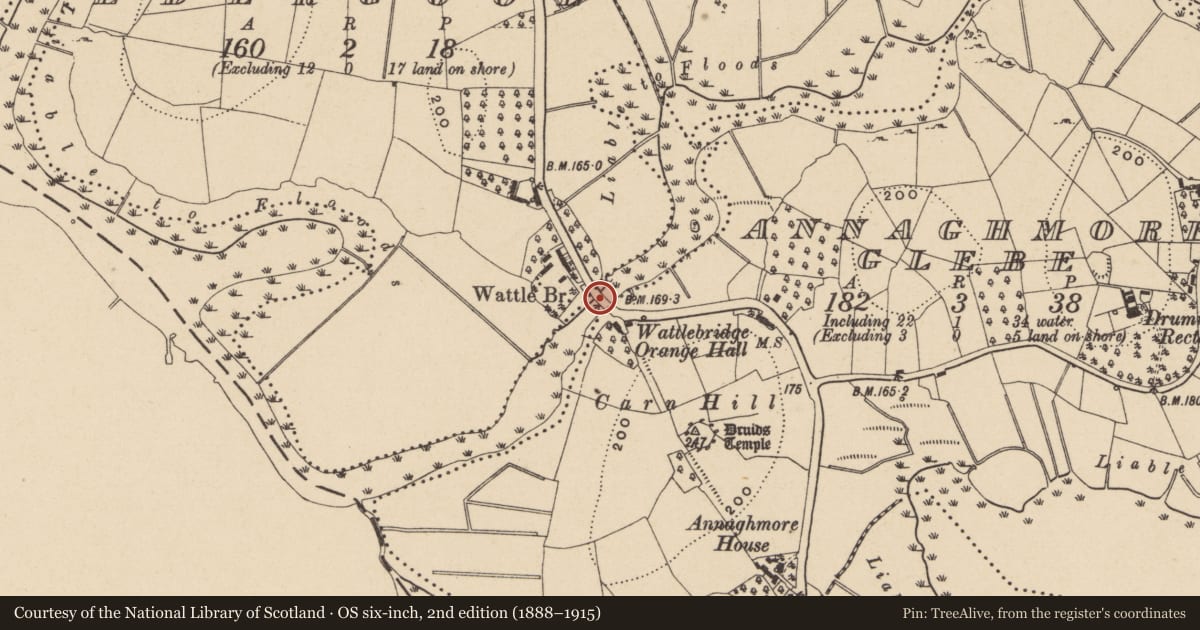 Ordnance Survey six-inch map, 2nd edition (1888–1915) covering the location of Wattle Bridge, Edergool, Fermanagh and Omagh, with a pin at the register's coordinates