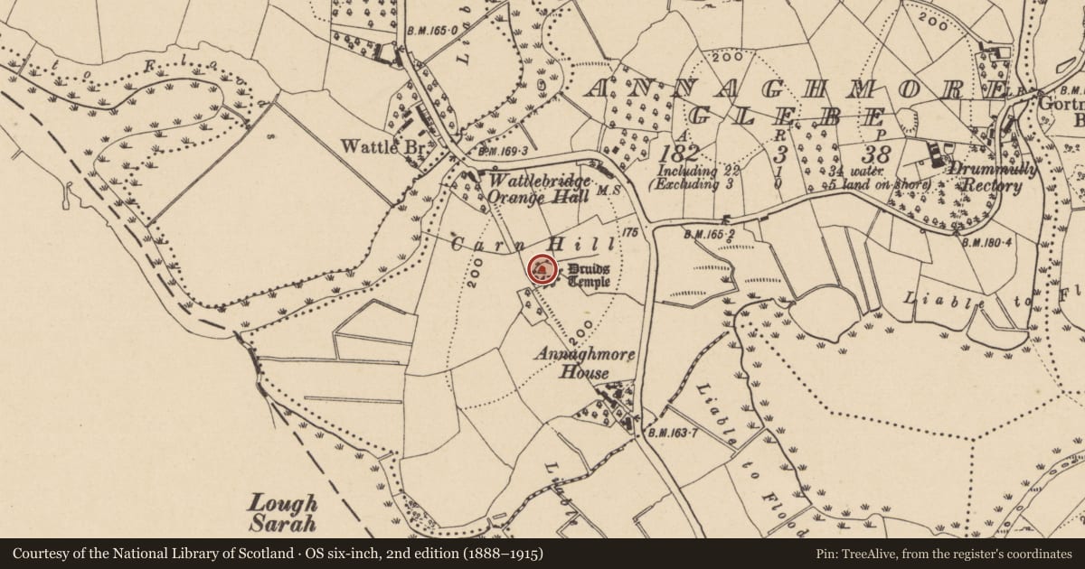 Ordnance Survey six-inch map, 2nd edition (1888–1915) covering the location of Druid's Temple, Edergool, Fermanagh and Omagh, with a pin at the register's coordinates