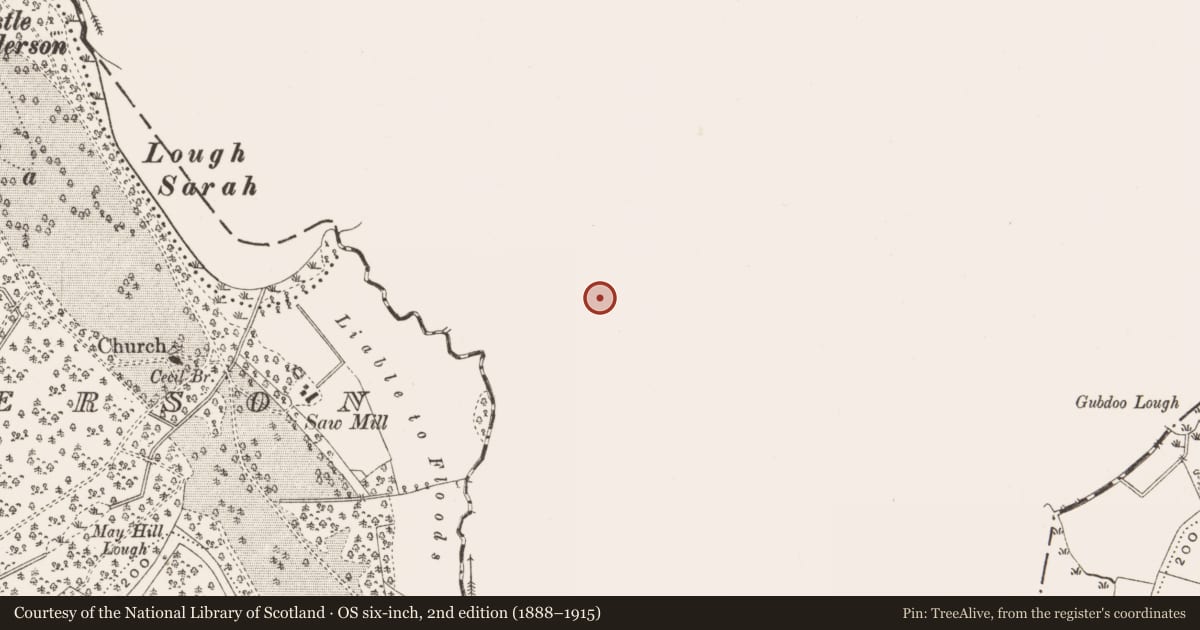 Ordnance Survey six-inch map, 2nd edition (1888–1915) covering the location of Vernacular House, Drumboghanagh Glebe, Fermanagh and Omagh, with a pin at the register's coordinates