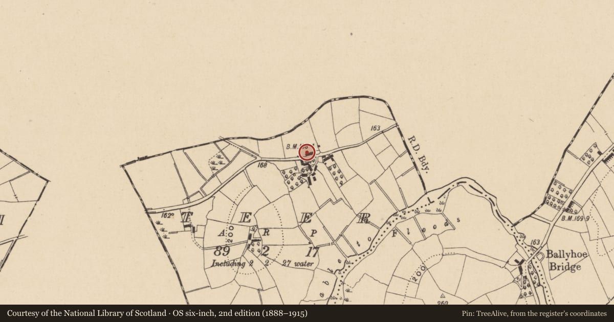 Ordnance Survey six-inch map, 2nd edition (1888–1915) covering the location of Cottage at Teer, Fermanagh and Omagh, with a pin at the register's coordinates