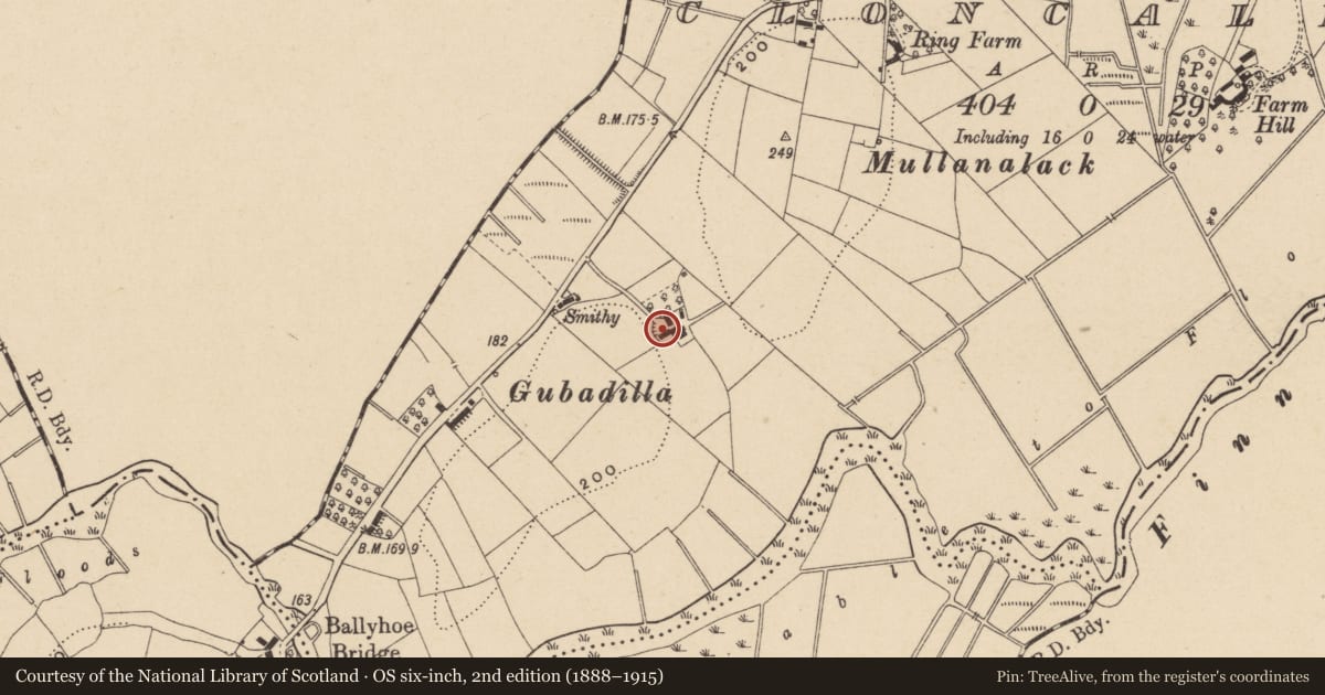 Ordnance Survey six-inch map, 2nd edition (1888–1915) covering the location of Cottage, Cloncallick, Fermanagh and Omagh, with a pin at the register's coordinates