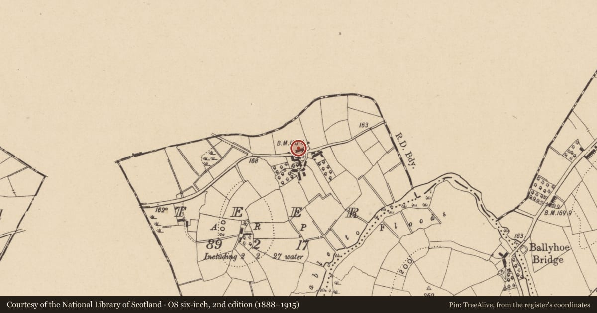 Ordnance Survey six-inch map, 2nd edition (1888–1915) covering the location of Dwelling, Teer, Fermanagh and Omagh, with a pin at the register's coordinates