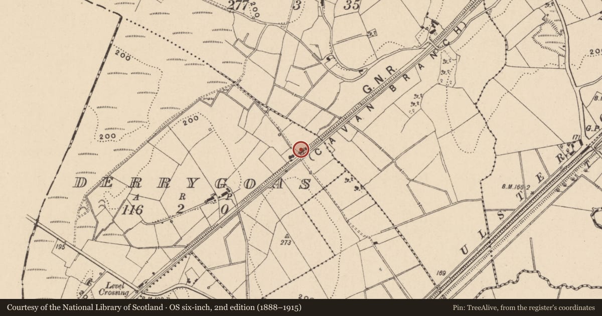Ordnance Survey six-inch map, 2nd edition (1888–1915) covering the location of Railway watch house, Derrygoas, Fermanagh and Omagh, with a pin at the register's coordinates