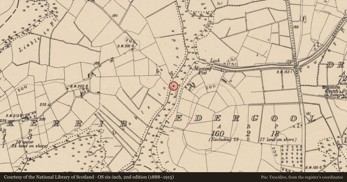 Ordnance Survey six-inch map, 2nd edition (1888–1915) covering the location of Derrykerrib Bridge, Fermanagh and Omagh, with a pin at the register's coordinates