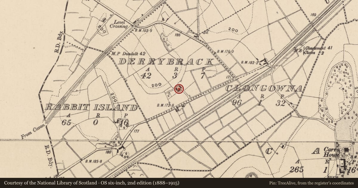 Ordnance Survey six-inch map, 2nd edition (1888–1915) covering the location of Cavan Road, Derrybrack, Fermanagh and Omagh, with a pin at the register's coordinates