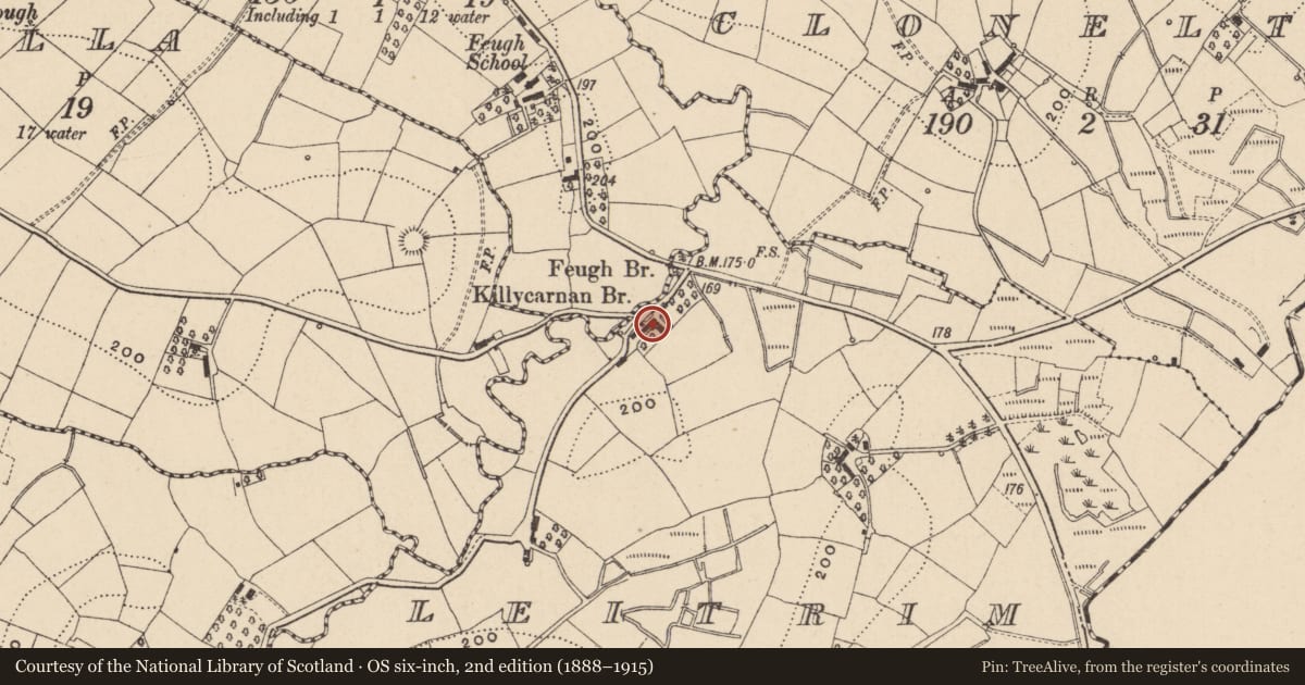 Ordnance Survey six-inch map, 2nd edition (1888–1915) covering the location of 39 Killycarnan Road, Leitrm, Fermanagh and Omagh, with a pin at the register's coordinates
