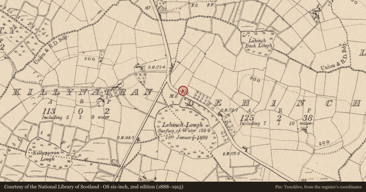 Ordnance Survey six-inch map, 2nd edition (1888–1915) covering the location of Milestone 13 Mile, Lehinch, with a pin at the register's coordinates