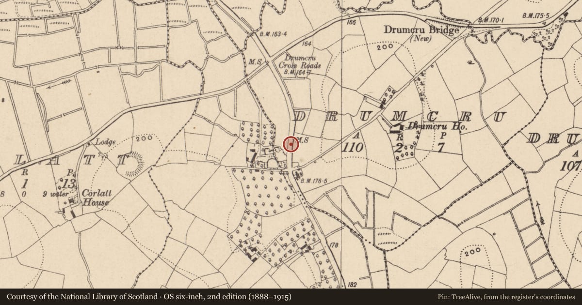 Ordnance Survey six-inch map, 2nd edition (1888–1915) covering the location of Milestone 14 Mile, Drumcru, with a pin at the register's coordinates