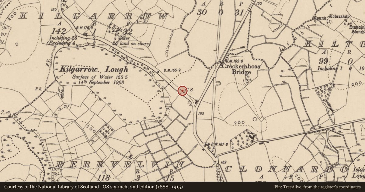 Ordnance Survey six-inch map, 2nd edition (1888–1915) covering the location of Milestone 16 Mile, Clonnaroo, with a pin at the register's coordinates