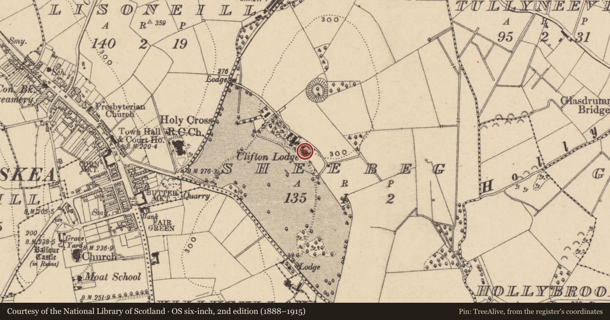 Ordnance Survey six-inch map, 2nd edition (1888–1915) covering the location of Clifton Lodge, Fermanagh and Omagh, with a pin at the register's coordinates