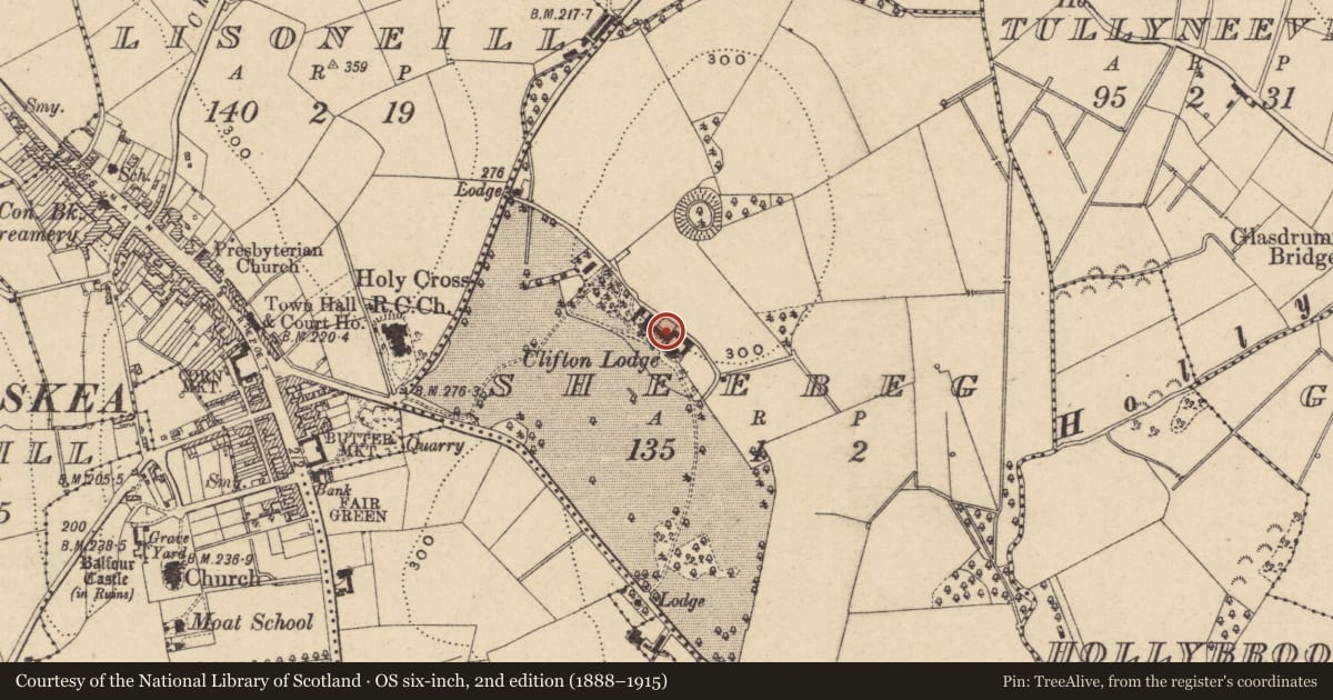 Ordnance Survey six-inch map, 2nd edition (1888–1915) covering the location of STABLEYARDS, Fermanagh and Omagh, with a pin at the register's coordinates