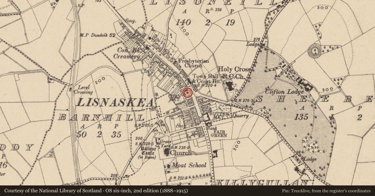 Ordnance Survey six-inch map, 2nd edition (1888–1915) covering the location of Old Corn Market, Market Cross And Railings, Fermanagh and Omagh, with a pin at the register's coordinates