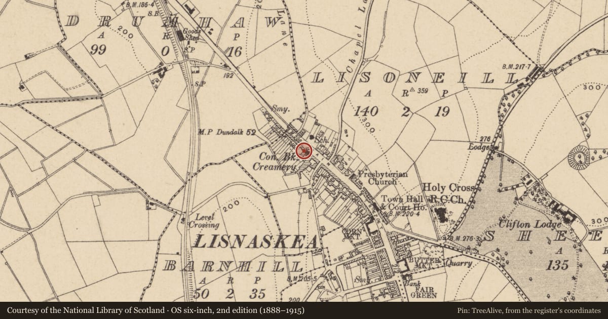 Ordnance Survey six-inch map, 2nd edition (1888–1915) covering the location of 67 Main St., Fermanagh and Omagh, with a pin at the register's coordinates