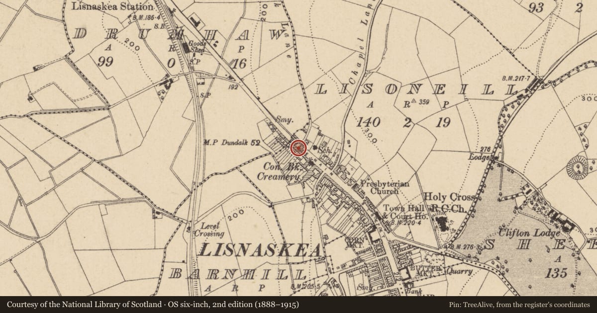 Ordnance Survey six-inch map, 2nd edition (1888–1915) covering the location of 55 Main St., Fermanagh and Omagh, with a pin at the register's coordinates