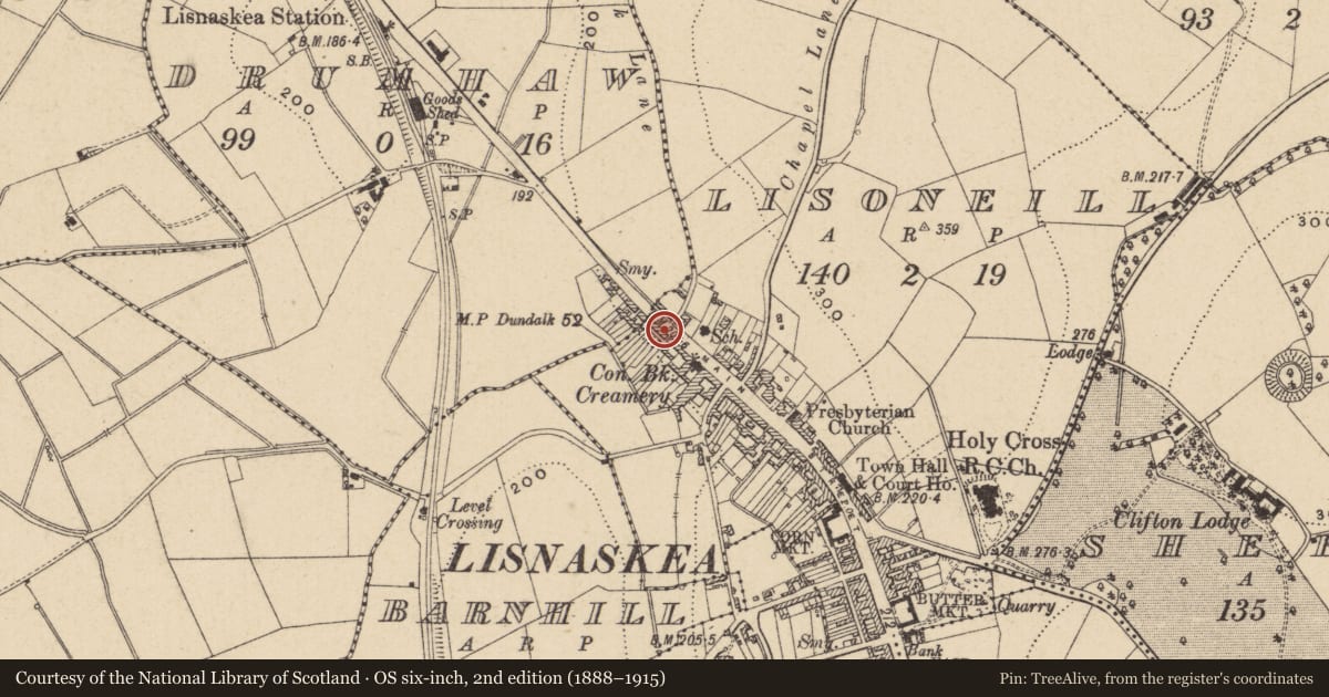 Ordnance Survey six-inch map, 2nd edition (1888–1915) covering the location of 53 Main St., Fermanagh and Omagh, with a pin at the register's coordinates