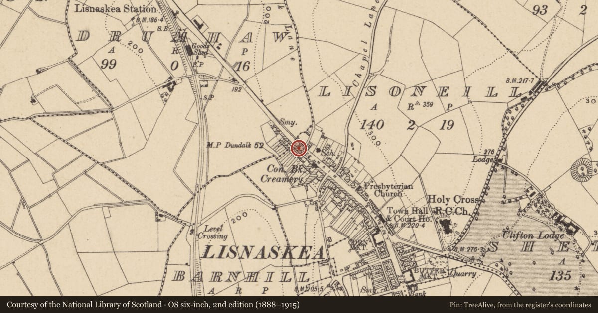 Ordnance Survey six-inch map, 2nd edition (1888–1915) covering the location of 51 Main St., Fermanagh and Omagh, with a pin at the register's coordinates