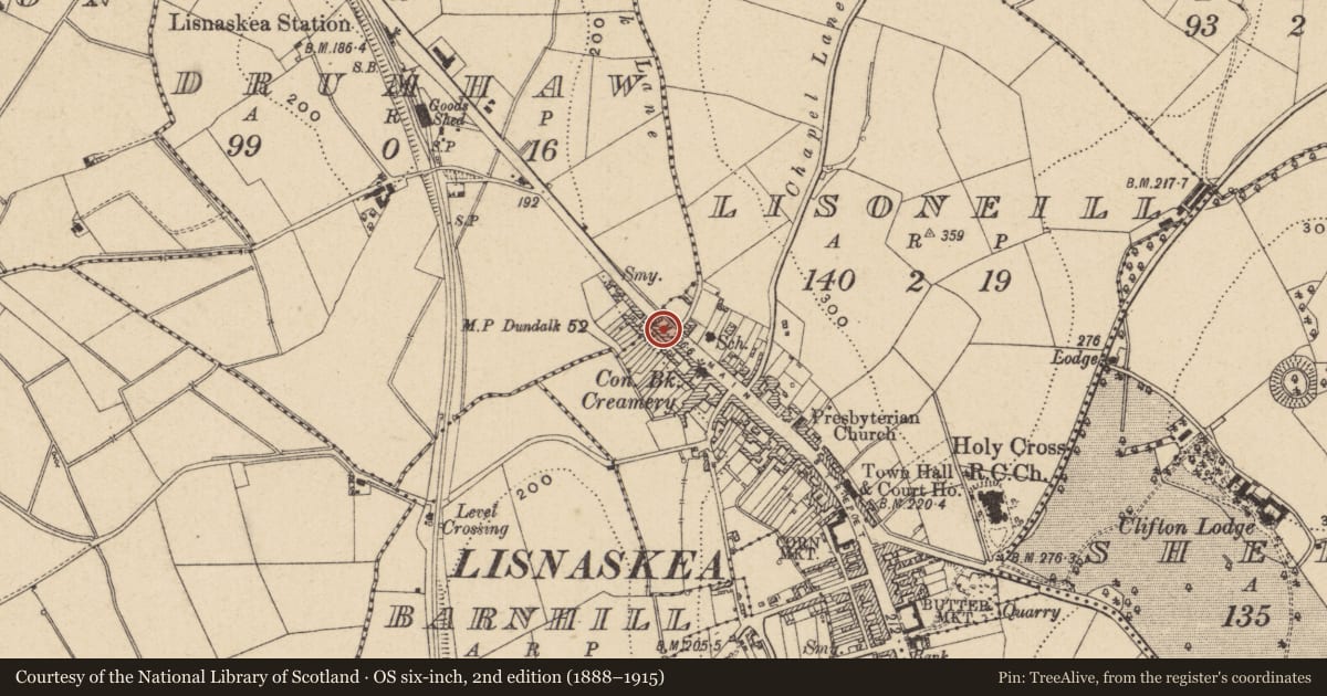 Ordnance Survey six-inch map, 2nd edition (1888–1915) covering the location of 49 Main St., Fermanagh and Omagh, with a pin at the register's coordinates