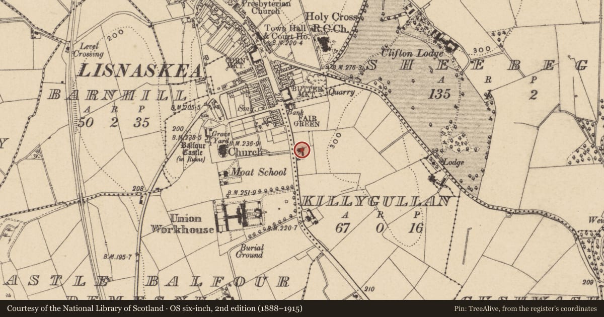 Ordnance Survey six-inch map, 2nd edition (1888–1915) covering the location of The Cottage, Fermanagh and Omagh, with a pin at the register's coordinates