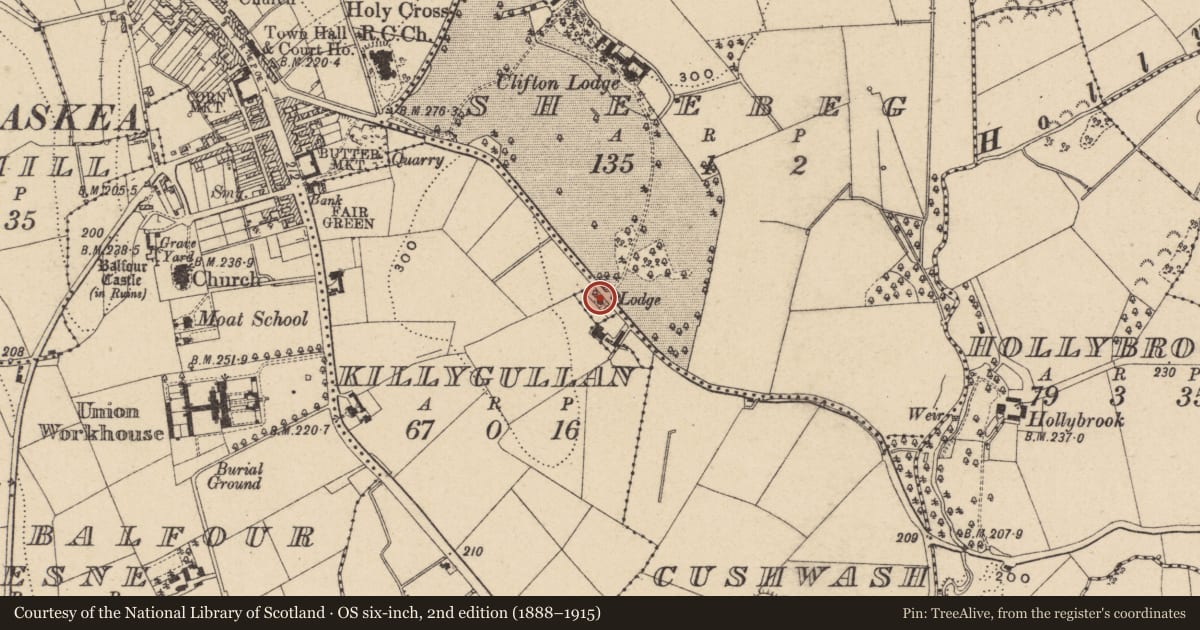 Ordnance Survey six-inch map, 2nd edition (1888–1915) covering the location of Lodge At Clifton Lodge Lisnaskea, Fermanagh and Omagh, with a pin at the register's coordinates