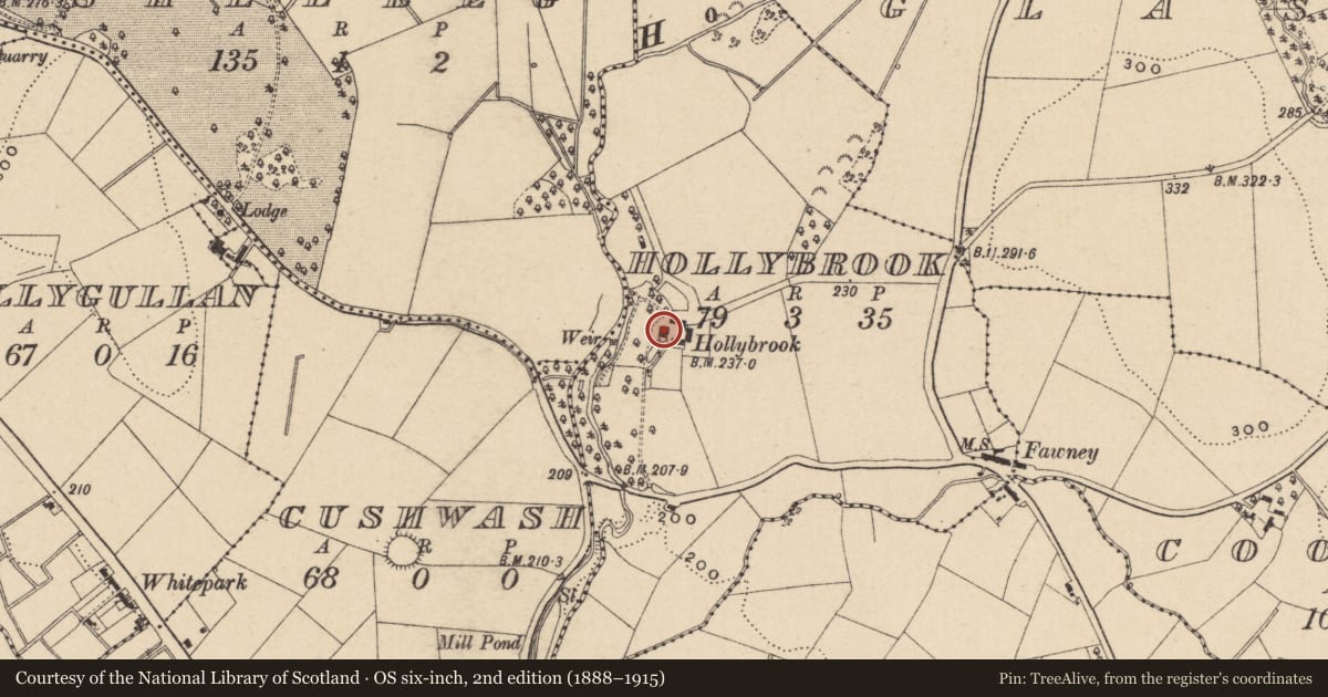 Ordnance Survey six-inch map, 2nd edition (1888–1915) covering the location of Hollybrook House, Fermanagh and Omagh, with a pin at the register's coordinates