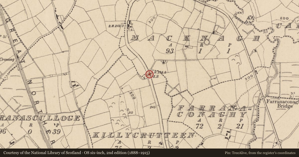 Ordnance Survey six-inch map, 2nd edition (1888–1915) covering the location of MILESTONE, Fermanagh and Omagh, with a pin at the register's coordinates