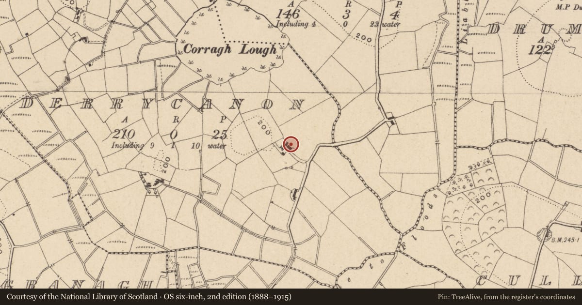 Ordnance Survey six-inch map, 2nd edition (1888–1915) covering the location of 63 Keady Road, Fermanagh and Omagh, with a pin at the register's coordinates