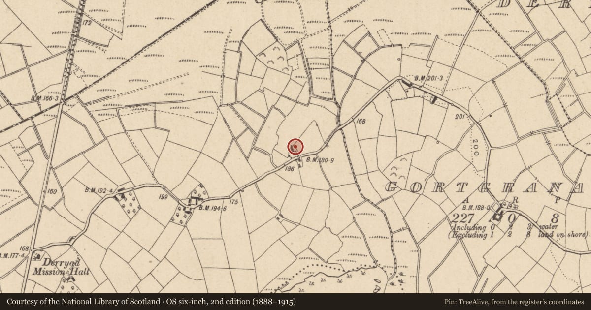 Ordnance Survey six-inch map, 2nd edition (1888–1915) covering the location of 124 Keady Road, Derryad, Fermanagh and Omagh, with a pin at the register's coordinates