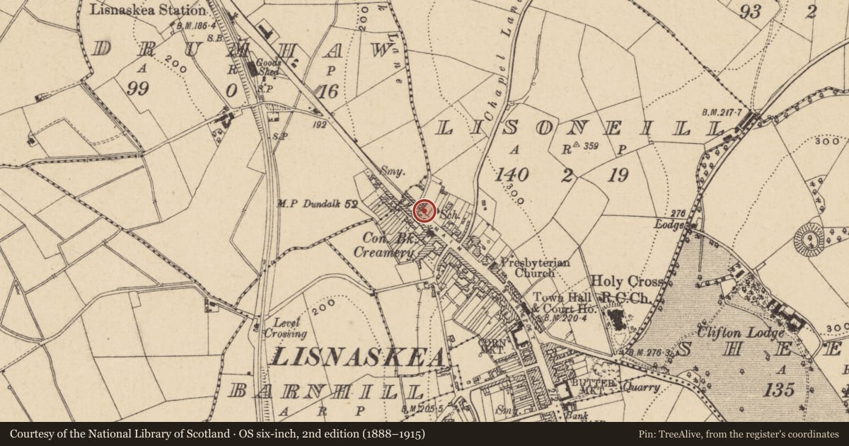 Ordnance Survey six-inch map, 2nd edition (1888–1915) covering the location of Milestone 9 Mile, Lisnaskea, with a pin at the register's coordinates