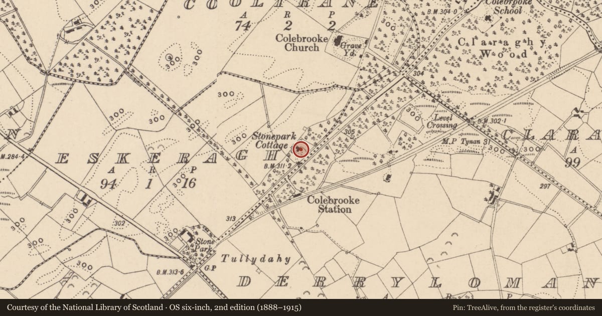 Ordnance Survey six-inch map, 2nd edition (1888–1915) covering the location of Stonepark Cottage, Fermanagh and Omagh, with a pin at the register's coordinates