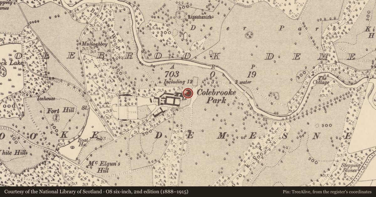 Ordnance Survey six-inch map, 2nd edition (1888–1915) covering the location of Colebrooke House, Fermanagh and Omagh, with a pin at the register's coordinates