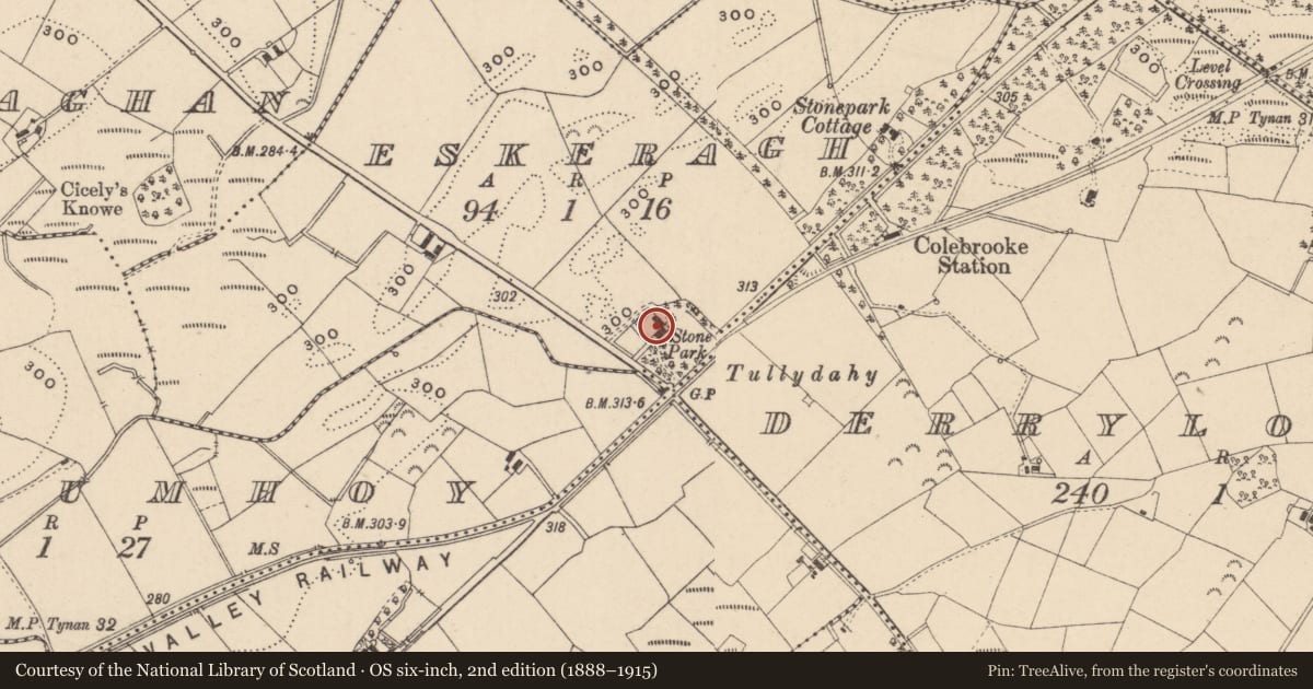 Ordnance Survey six-inch map, 2nd edition (1888–1915) covering the location of Stonepark House, Fermanagh and Omagh, with a pin at the register's coordinates